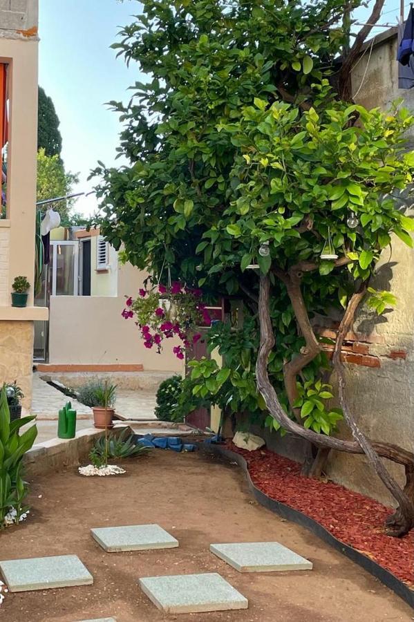 Lumar Holidays And Apartments Preko Exterior photo
