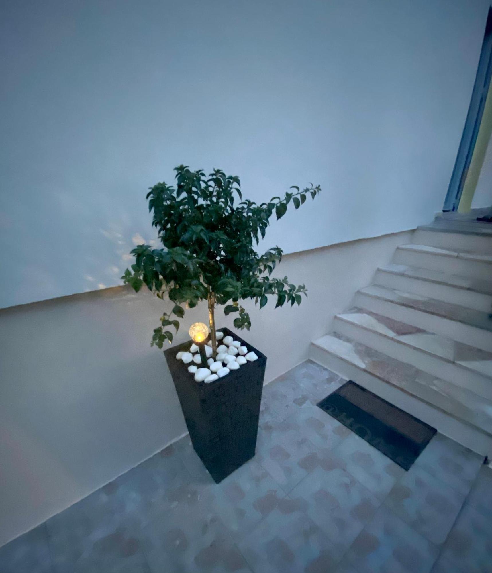 Lumar Holidays And Apartments Preko Exterior photo